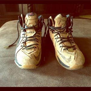 Nike Lebrons mens size 10